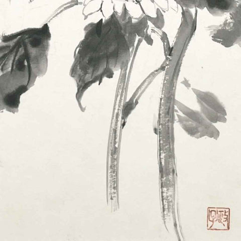 Sunflower - Sketches & Drawings - Artezaar.com Online Art Gallery