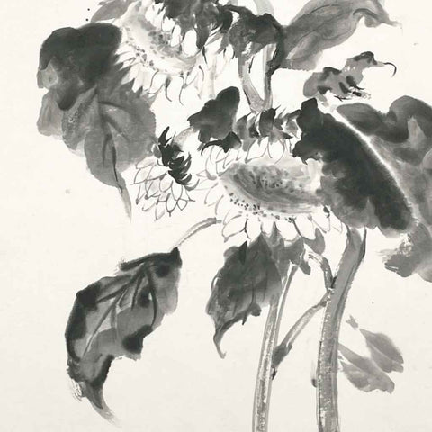 Sunflower - Sketches & Drawings - Artezaar.com Online Art Gallery