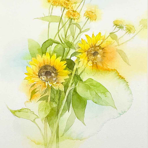 Sunflower - Watercolor Painting - Artezaar.com Online Art Gallery