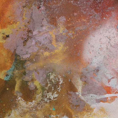 Terrestrial Echoes in Motion