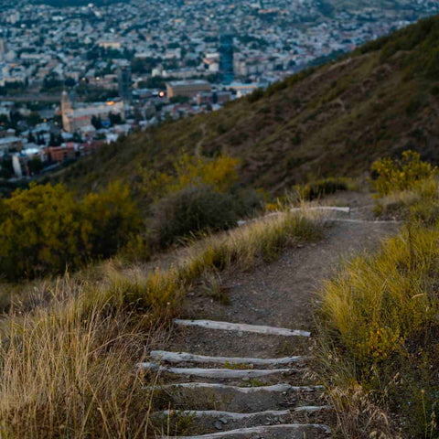 The City Ends, Nature Begins - Photography - Artezaar.com Online Art Gallery
