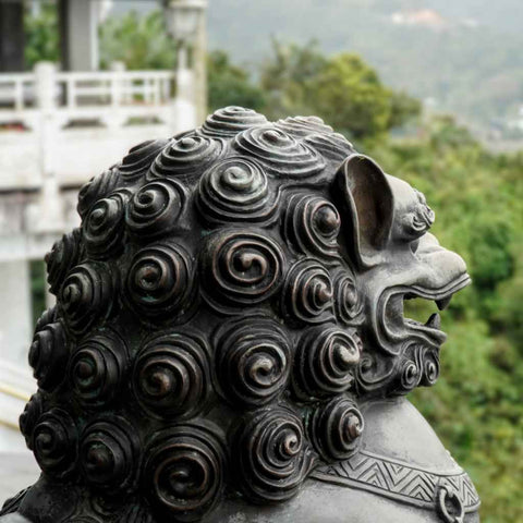 The Guardian of the Green Hills Photography Print Buy Now on Artezaar.com Online Art Gallery Dubai UAE