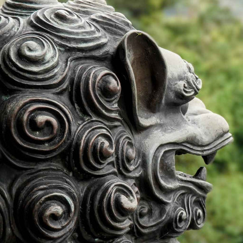 The Guardian of the Green Hills Photography Print Buy Now on Artezaar.com Online Art Gallery Dubai UAE