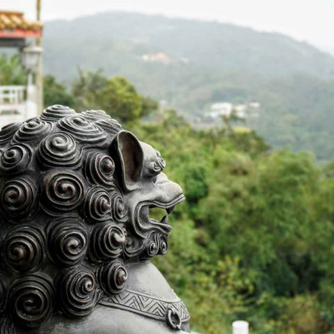 The Guardian of the Green Hills Photography Print Buy Now on Artezaar.com Online Art Gallery Dubai UAE