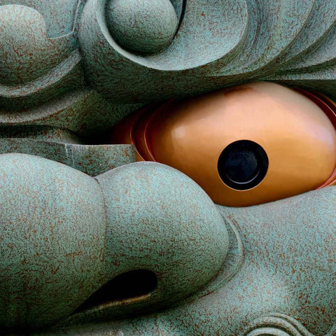 The Guardian's Gaze Photography Print Buy Now on Artezaar.com Online Art Gallery Dubai UAE 