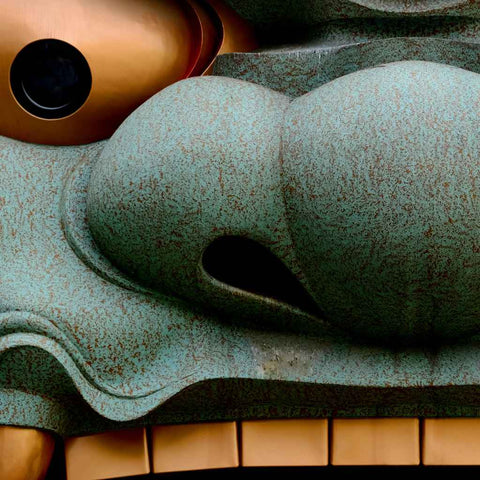 The Guardian's Gaze Photography Print Buy Now on Artezaar.com Online Art Gallery Dubai UAE 