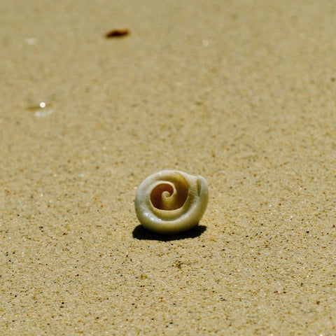 The Quiet Spiral - Photography - Artezaar.com Online Art Gallery