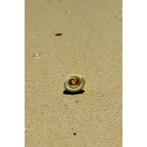 The Quiet Spiral - Photography - Artezaar.com Online Art Gallery