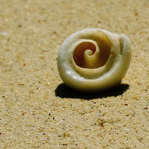 The Quiet Spiral - Photography - Artezaar.com Online Art Gallery