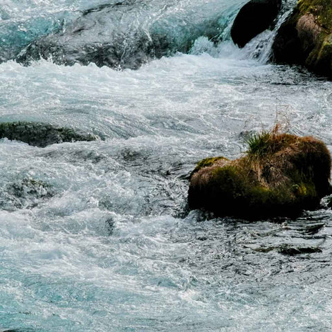 The Shape of Motion - Photography - Artezaar.com Online Art Gallery