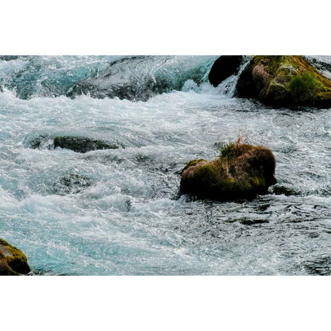 The Shape of Motion - Photography - Artezaar.com Online Art Gallery