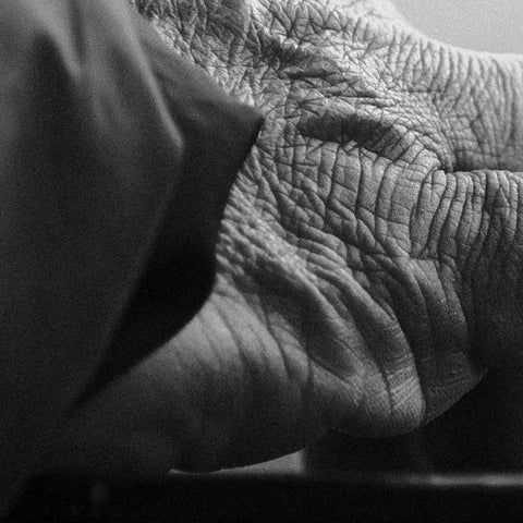 The Weight of Time - Photography - Artezaar.com Online Art Gallery