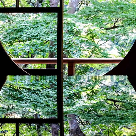 Through Stillness Photography Print Buy Now on Artezaar.com Online Art Gallery Dubai UAE