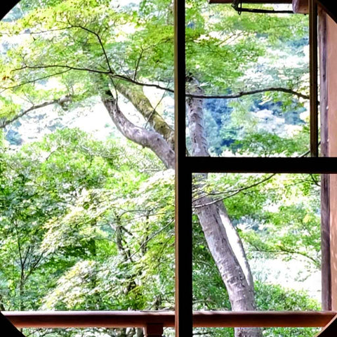 Through Stillness Photography Print Buy Now on Artezaar.com Online Art Gallery Dubai UAE