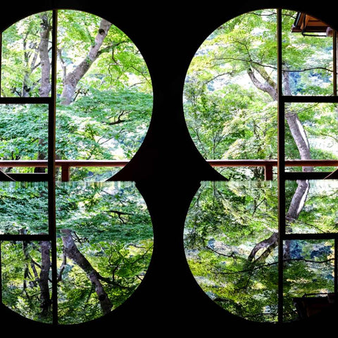 Through Stillness Photography Print Buy Now on Artezaar.com Online Art Gallery Dubai UAE