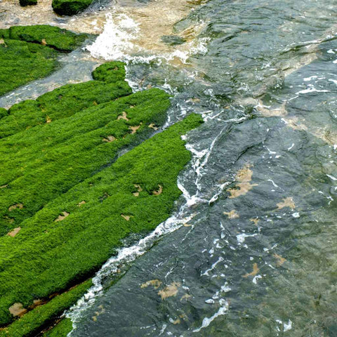 Tidal Weave at Yehliu Photography Print Buy Now on Artezaar.com Online Art Gallery Dubai UAE