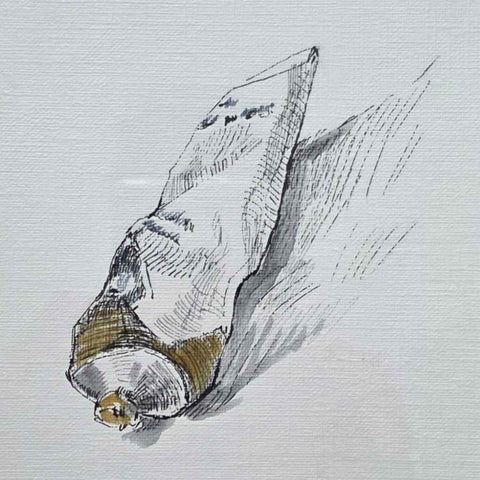 Tube of Oil Paint Sketched & Drawings Buy Now on Artezaar.com Online Art Gallery Dubai UAE