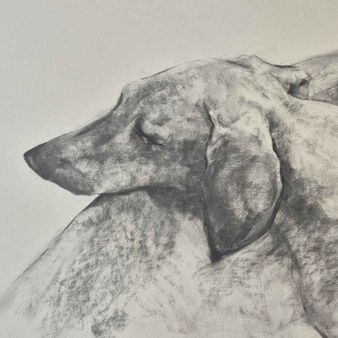 Two Daschunds Sketches and Drawwings Buy Now on Artezaar.com Online Art Gallery Dubai UAE