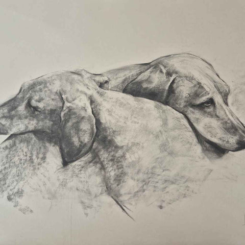 Two Daschunds Sketches and Drawwings Buy Now on Artezaar.com Online Art Gallery Dubai UAE