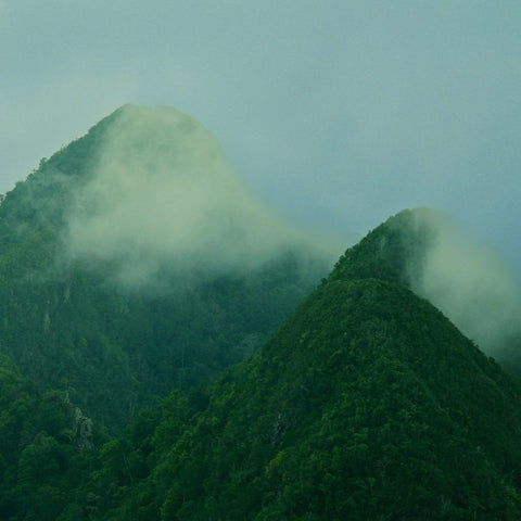 Veil Of The Highlands Photography Print Buy Now on Artezaar.com Online Art Gallery Dubai UAE
