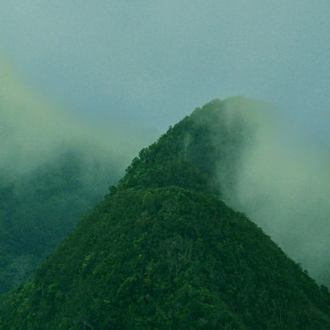 Veil Of The Highlands Photography Print Buy Now on Artezaar.com Online Art Gallery Dubai UAE
