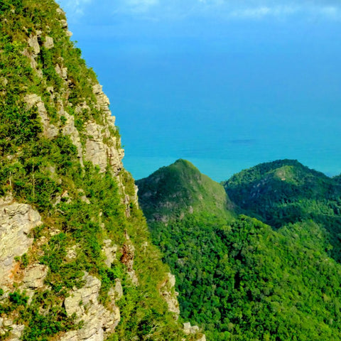 Verdant Horizons - Photography - Artezaar.com Online Art Gallery