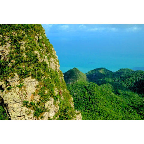 Verdant Horizons - Photography - Artezaar.com Online Art Gallery