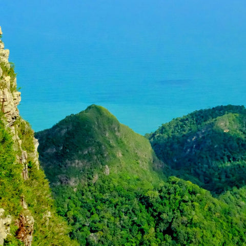 Verdant Horizons - Photography - Artezaar.com Online Art Gallery