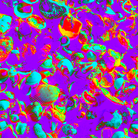 Vibrant Seashells Blue  - Photography - Artezaar.com Online Art Gallery