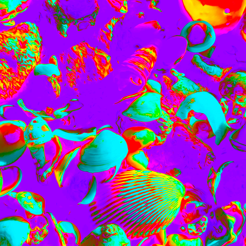 Vibrant Seashells Blue  - Photography - Artezaar.com Online Art Gallery