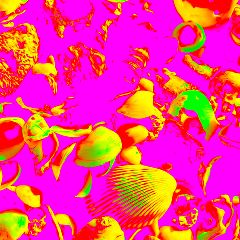 Vibrant Seashells Pink - Photography - Artezaar.com Online Art Gallery