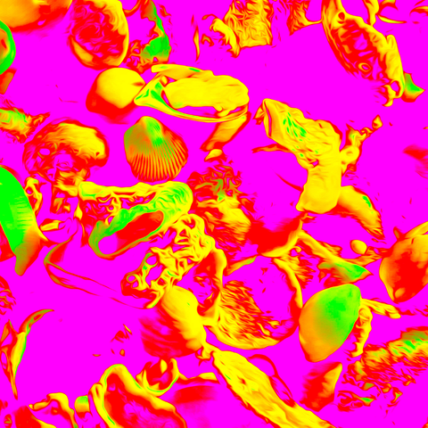 Vibrant Seashells Pink - Photography - Artezaar.com Online Art Gallery