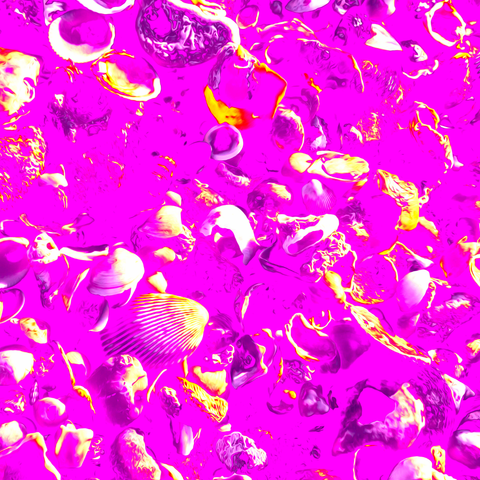 Vibrant Seashells Purple - Photography - Artezaar.com Online Art Gallery