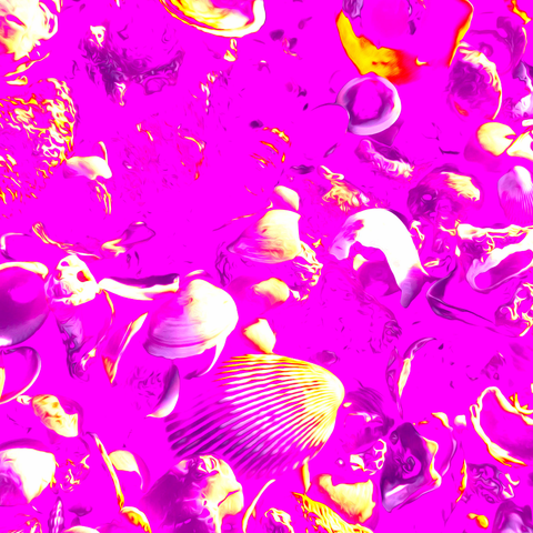 Vibrant Seashells Purple - Photography - Artezaar.com Online Art Gallery