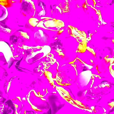 Vibrant Seashells Purple - Photography - Artezaar.com Online Art Gallery