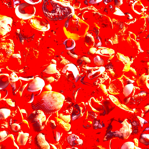 Vibrant Seashells Red  - Photography - Artezaar.com Online Art Gallery