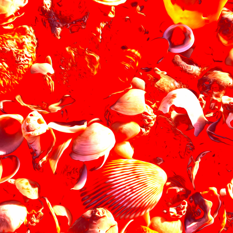 Vibrant Seashells Red  - Photography - Artezaar.com Online Art Gallery