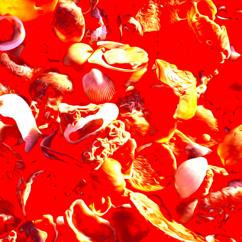 Vibrant Seashells Red  - Photography - Artezaar.com Online Art Gallery