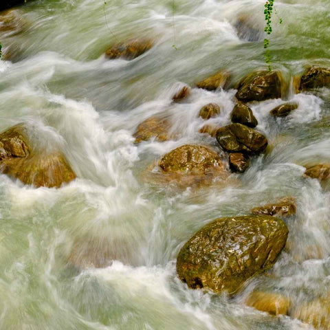 Where Water Finds Its Way - Photography - Artezaar.com Online Art Gallery