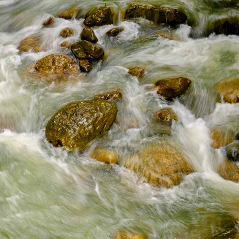 Where Water Finds Its Way - Photography - Artezaar.com Online Art Gallery