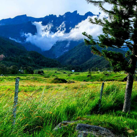 Where The Mountains Breathe - Photography - Artezaar.com Online Art Gallery