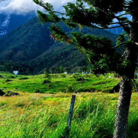 Where The Mountains Breathe - Photography - Artezaar.com Online Art Gallery