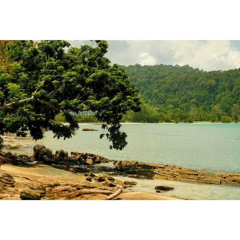 Where The Rainforest Meets The Sea - Photography - Artezaar.com Online Art Gallery