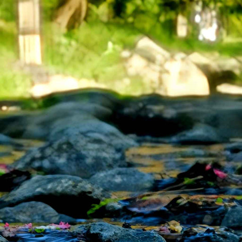 Whisper of Spring Photography Print Buy Now on Artezaar.com Online Art Gallery Dubai UAE