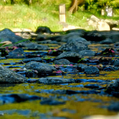 Whisper of Spring Photography Print Buy Now on Artezaar.com Online Art Gallery Dubai UAE