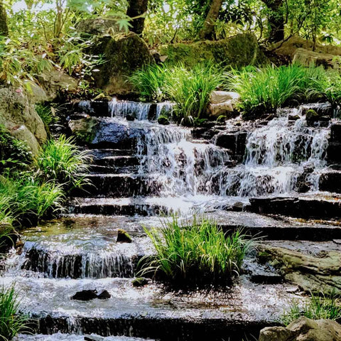 Whispers of Kyoto Photography Print Buy Now on Artezaar.com Online Art Gallery Dubai UAE