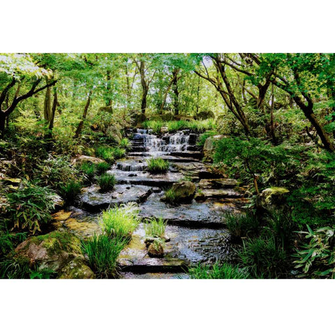 Whispers of Kyoto Photography Print Buy Now on Artezaar.com Online Art Gallery Dubai UAE