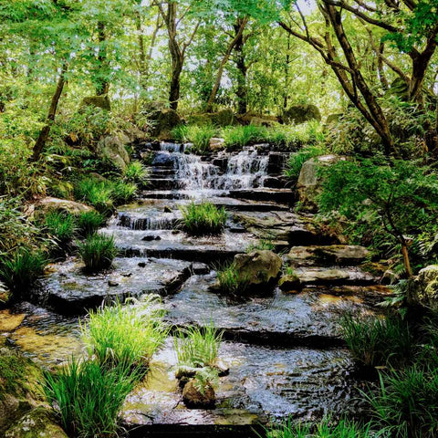 Whispers of Kyoto Photography Print Buy Now on Artezaar.com Online Art Gallery Dubai UAE