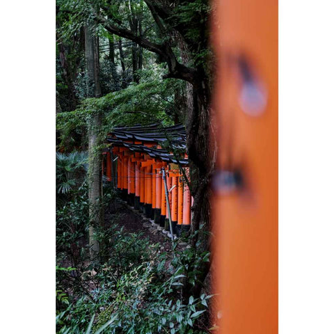 Whispers Through Vermilion Paths Photography Print Buy Now on Artezaar.com Online Art Gallery Dubai UAE