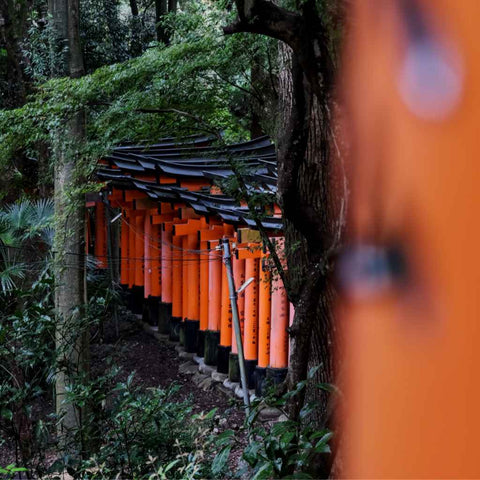 Whispers Through Vermilion Paths Photography Print Buy Now on Artezaar.com Online Art Gallery Dubai UAE